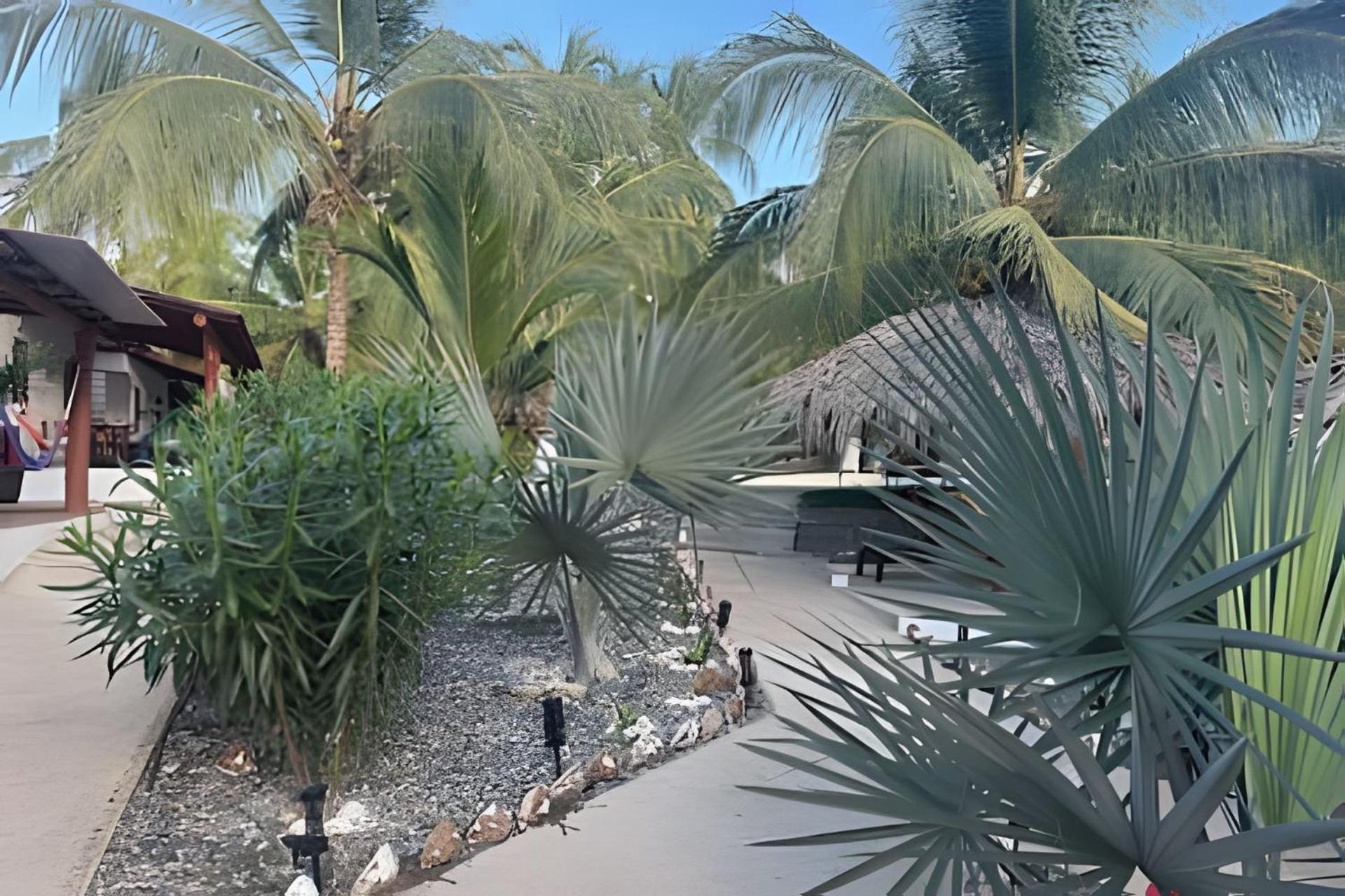 Casa Las Palmas Playa La Saladita Сиуатанехо Экстерьер фото