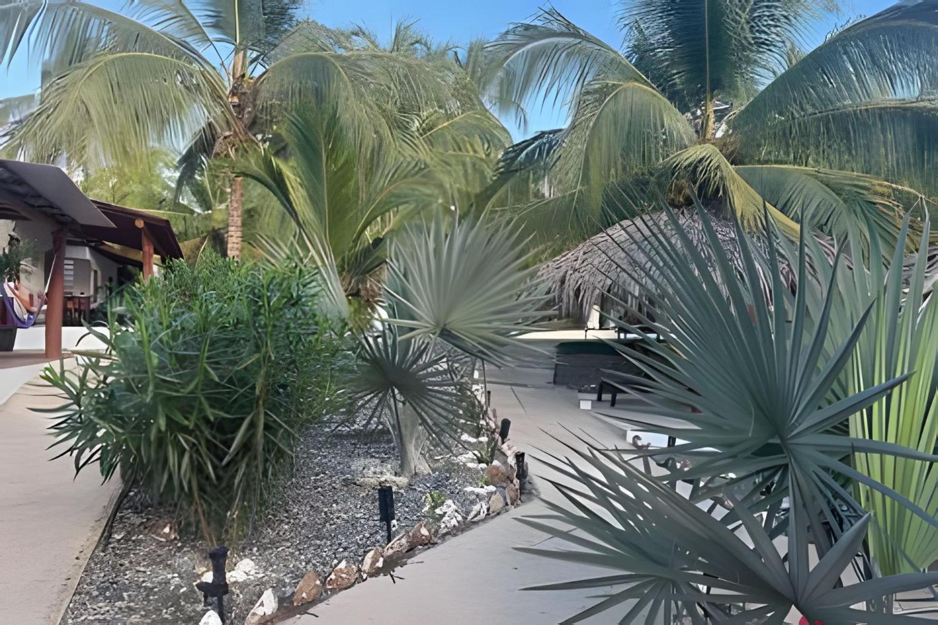 Casa Las Palmas Playa La Saladita Сиуатанехо Экстерьер фото