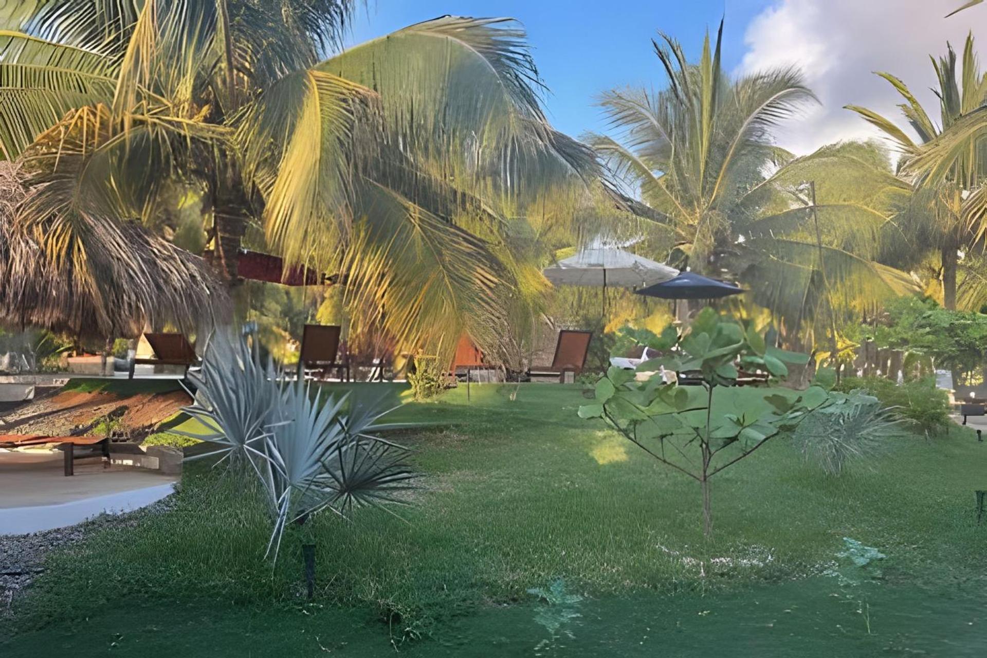 Casa Las Palmas Playa La Saladita Сиуатанехо Экстерьер фото
