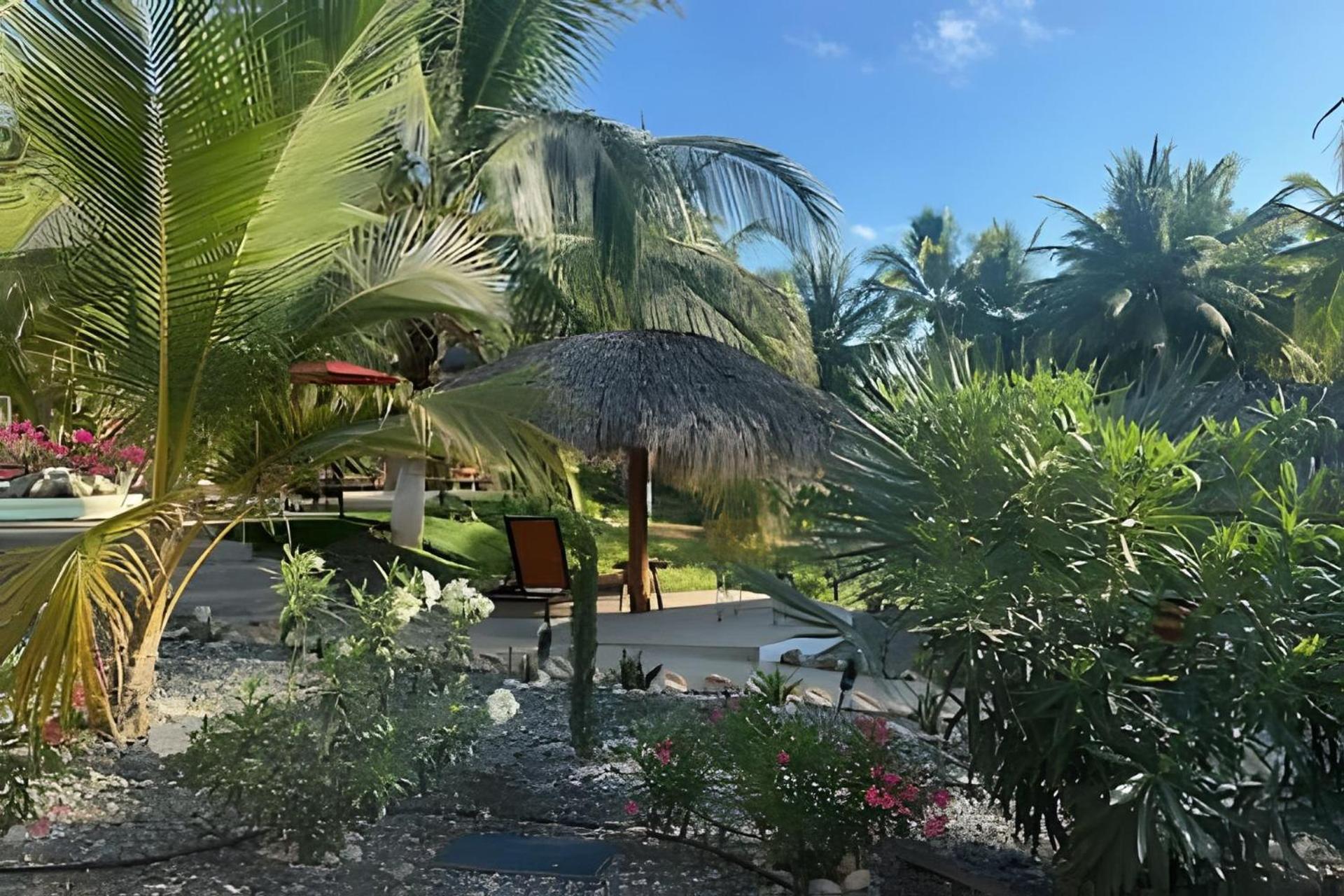 Casa Las Palmas Playa La Saladita Сиуатанехо Экстерьер фото